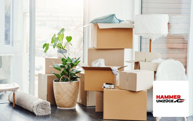 Webdesign in M&uuml;nchen Referenz Umzugsunternehmen